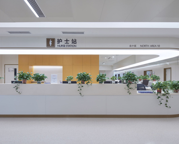 Dushu Lake Hospital — project photograph