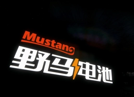 Mustang Battery — project photograph