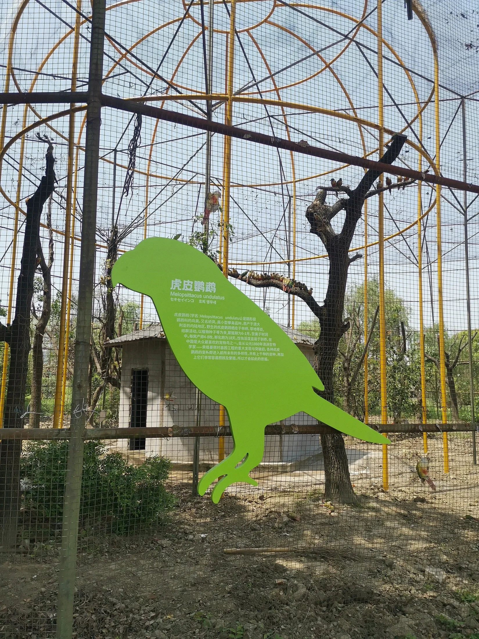 Happy Farm — project photograph