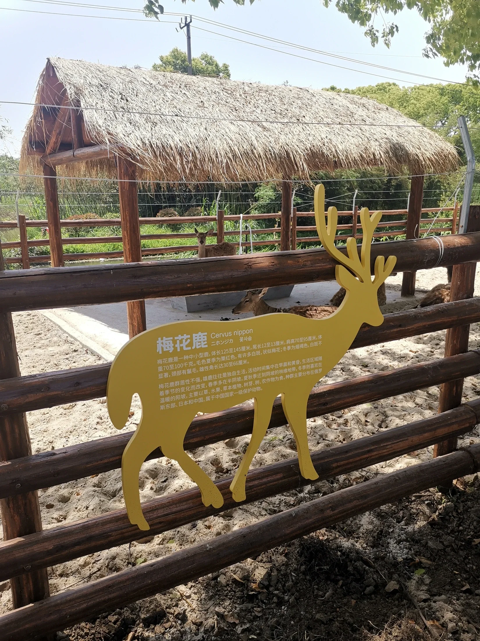 Happy Farm — project photograph